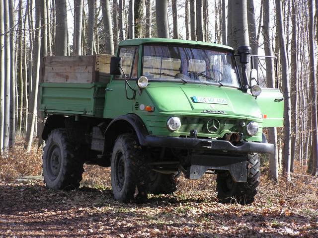 090125_wald_klein.jpg